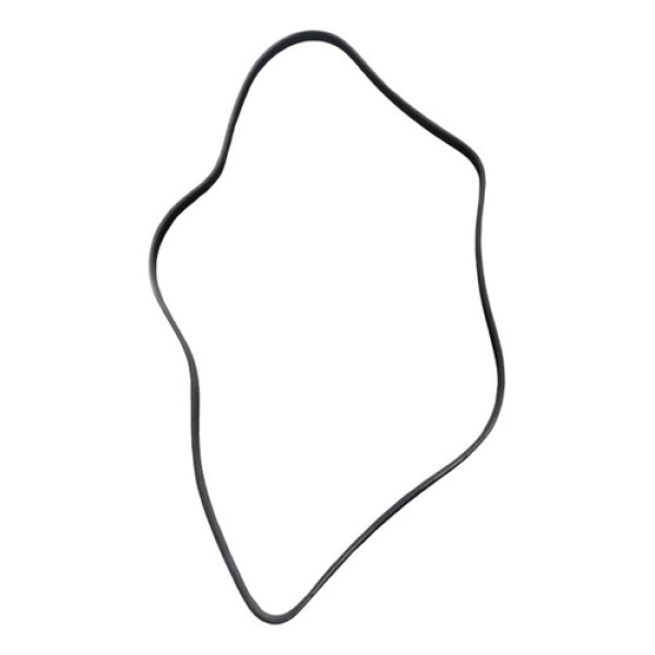 Correia Auto Poly Da Polia Compressor Sandero 1.6 16v 2011