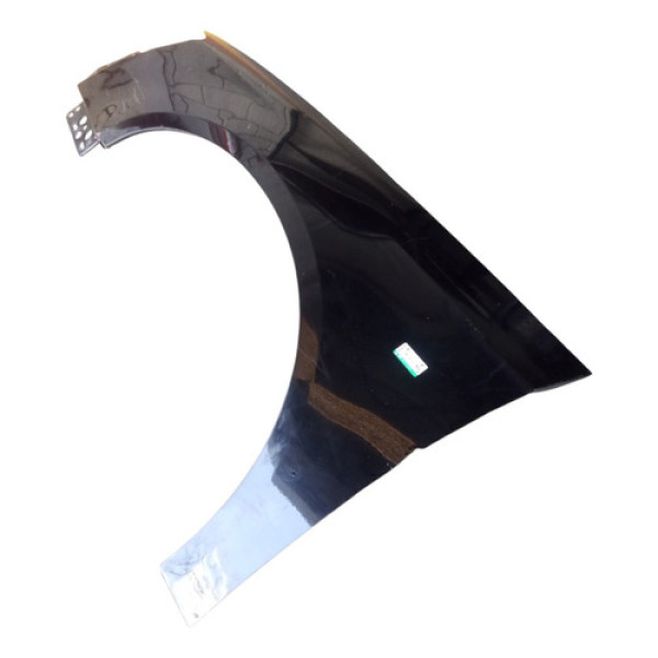 Paralama Esquerdo Vw Passat Variant B6 2006 2007 